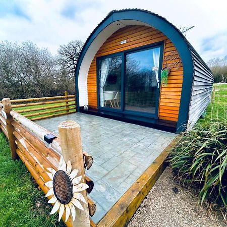 Beech Pod Cabin In Beautiful Surroundings 렉섬 외부 사진