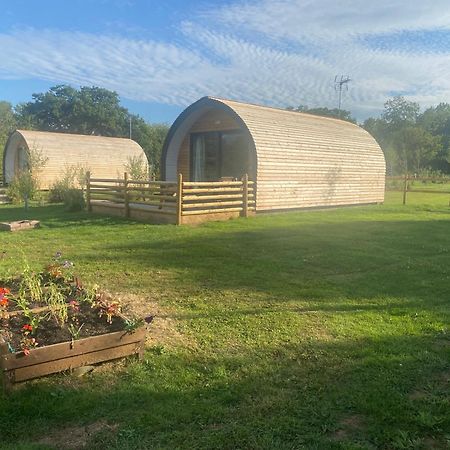 Beech Pod Cabin In Beautiful Surroundings 렉섬 외부 사진