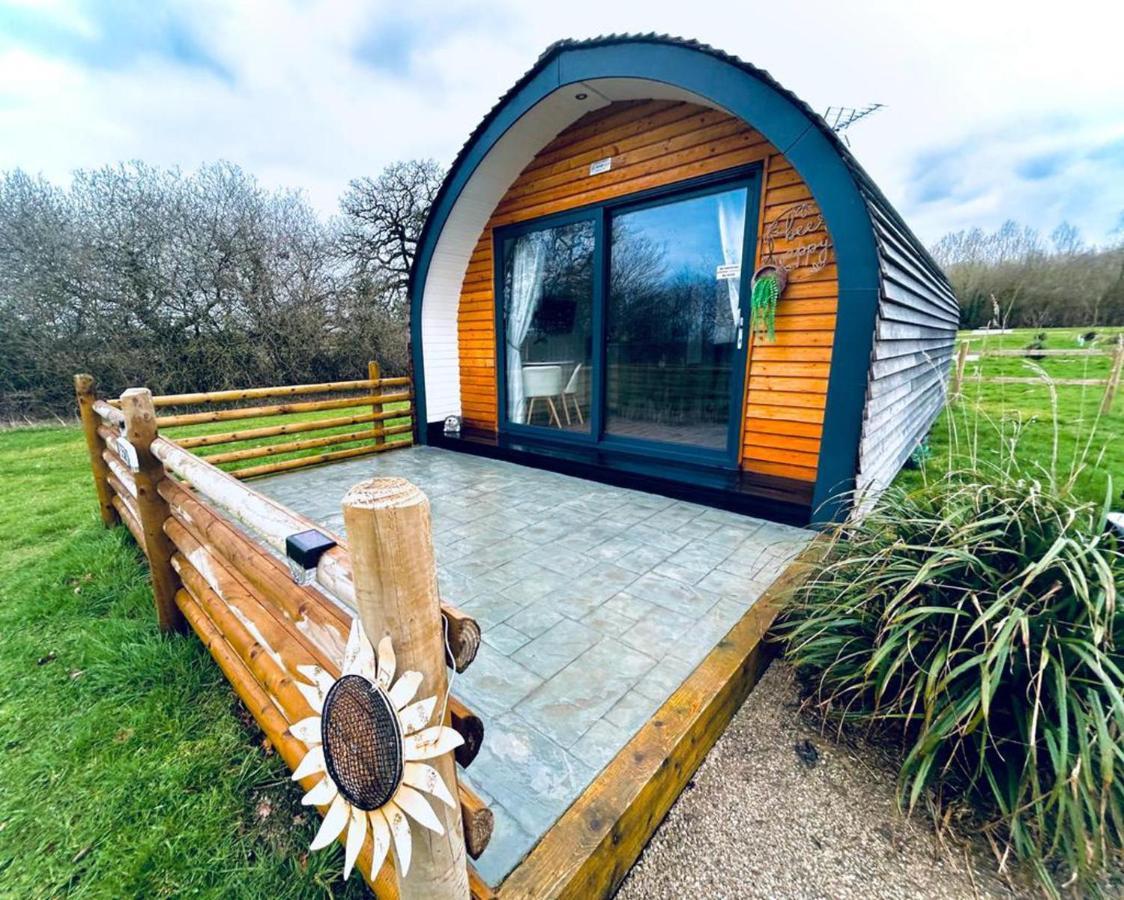Beech Pod Cabin In Beautiful Surroundings 렉섬 외부 사진