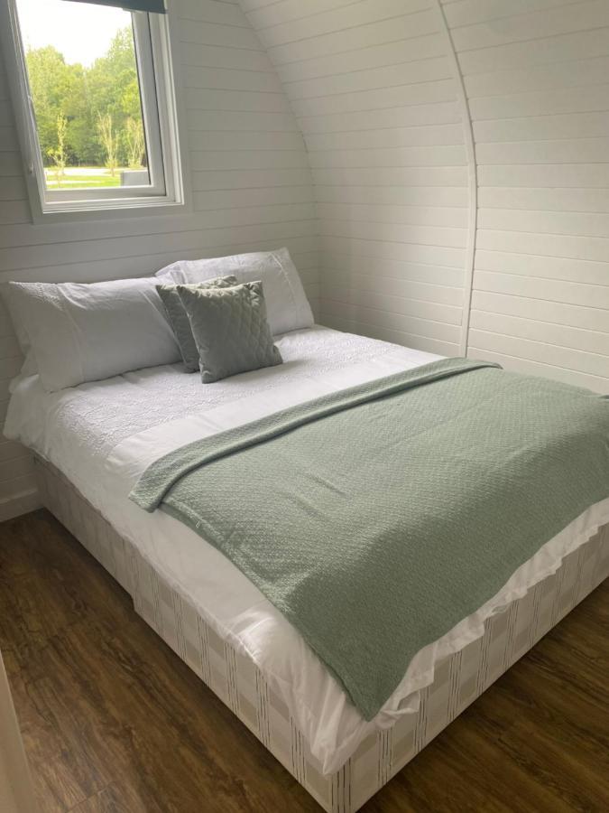 Beech Pod Cabin In Beautiful Surroundings 렉섬 외부 사진
