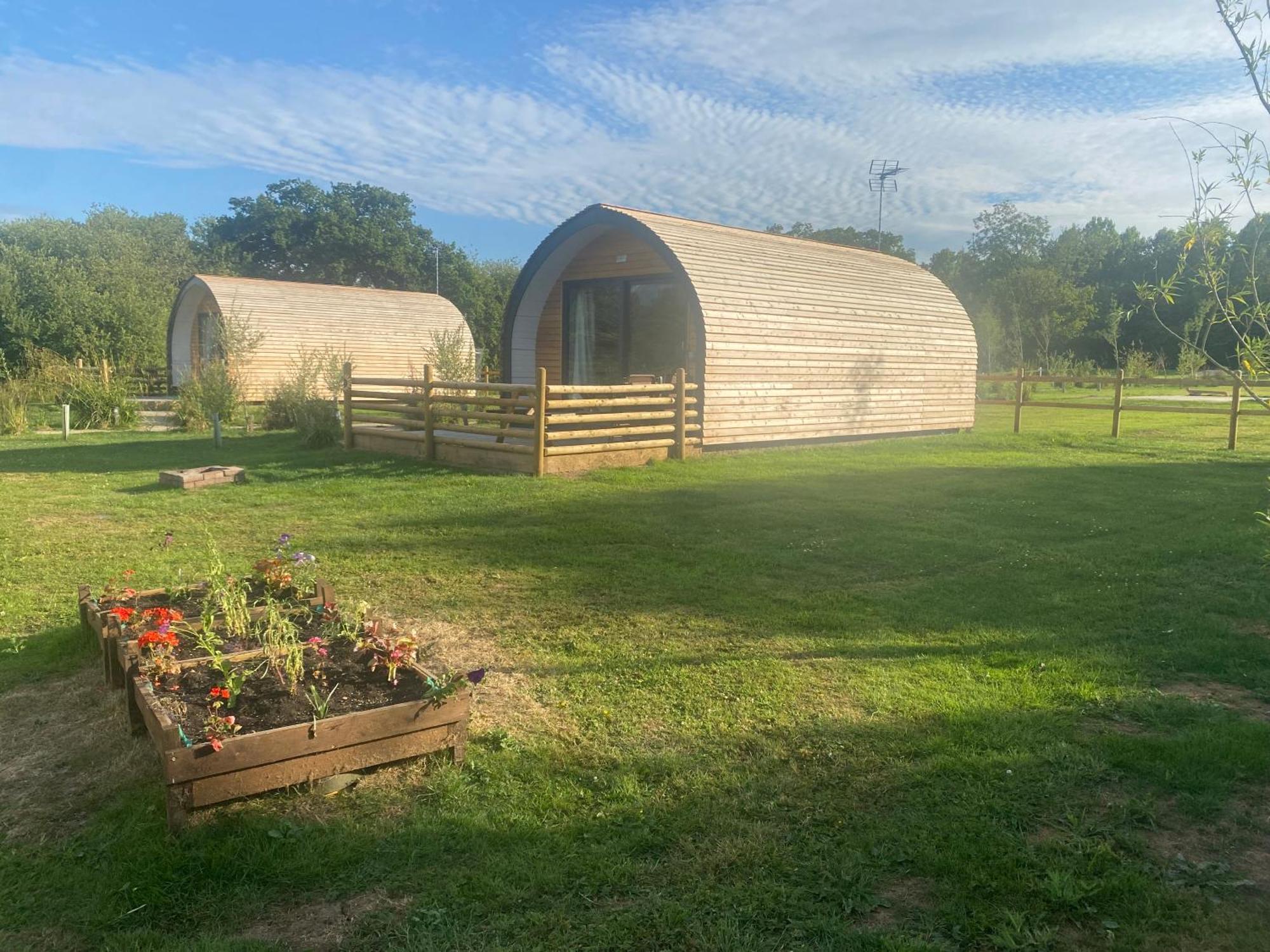 Beech Pod Cabin In Beautiful Surroundings 렉섬 외부 사진